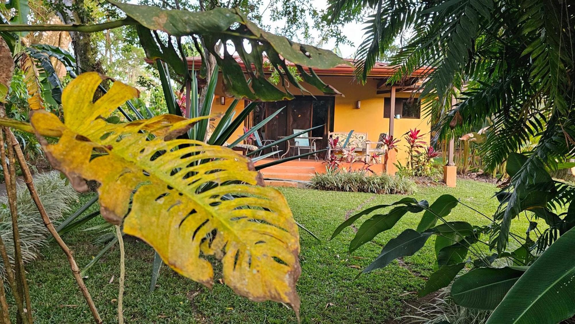 Tacacori Ecolodge Alajuela Exterior photo